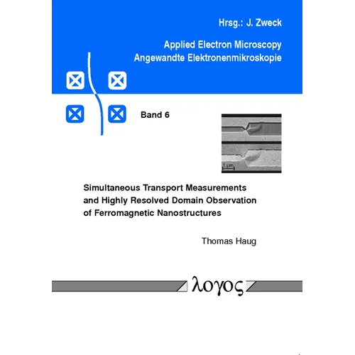 Simultaneous Transport Measurements and Highly Resolved Domain Observation of Ferromagnetic Nanostructures