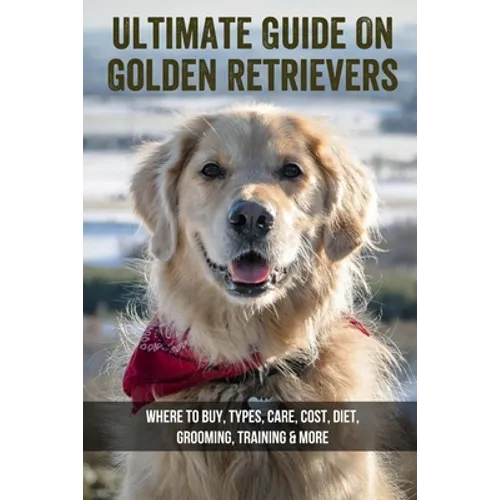 Ultimate Guide On Golden Retrievers: Where To Buy, Types, Care, Cost, Diet, Grooming, Training & More: How Do You Discipline A Golden Retriever