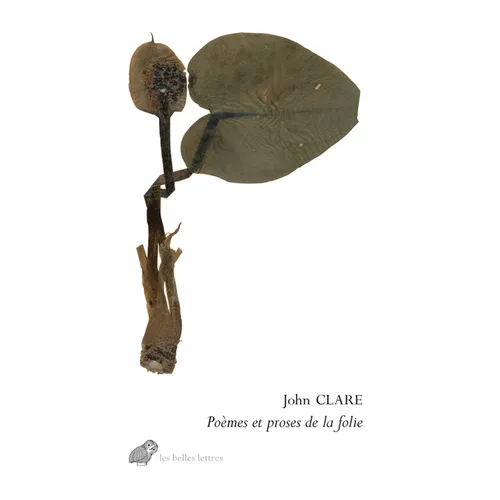 Poemes Et Proses de la Folie
