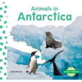 Animals in Antarctica