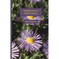 Wildflowers of Hells Canyon