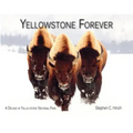 Yellowstone Forever: A Decade in Yellowstone National Park