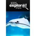 Stingray - Kids Explore: Animal books nonfiction - books ages 5-6