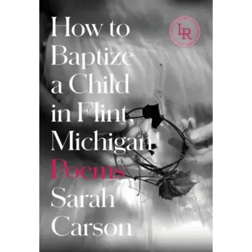 How to Baptize a Child in Flint, Michigan: Poems