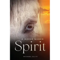 A Horse Named Spirit