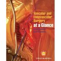 Vascular and Endovascular Surgery at a Glance