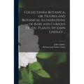 Collectanea Botanica, or, Figures and Botanical Illustrations of Rare and Curious Exotic Plants /by John Lindley ...