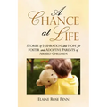 A Chance At Life: Stories of Inspiration and Hope for Foster and Adoptive Parents of Abused Children