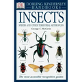 Insects: The Most Accessible Recognition Guide