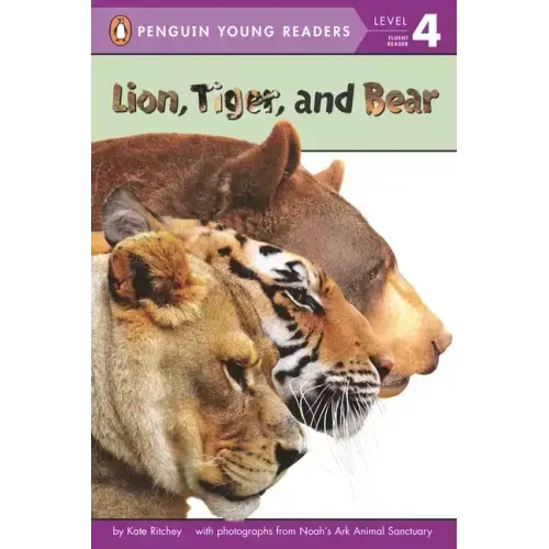 Lion, Tiger, and Bear