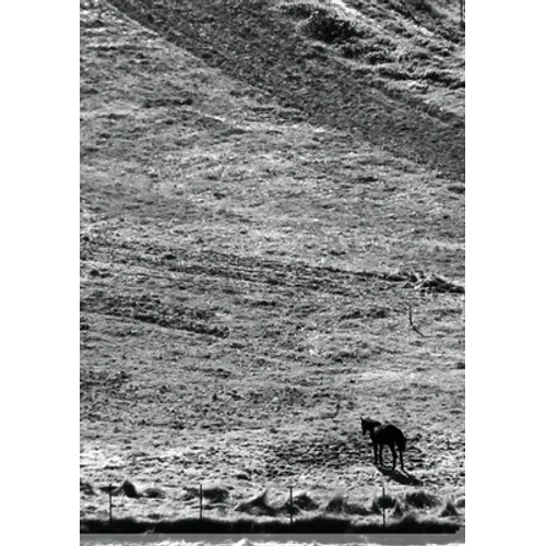 The Stone Soup Notebook: One Horse - Lara Katz - lined