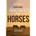 Inspirational Picture Quotes about Horses