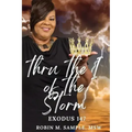 thru the I of the storm