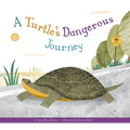 A Turtle's Dangerous Journey
