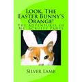 Look, The Easter Bunny's Orange: The Adventures of Mr. Scruffy Pants