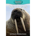 Walruses