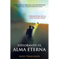 Explorando El Alma Eterna - Perspectivas de La Vida Entre Vidas