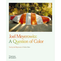 Joel Meyerowitz: A Question of Color