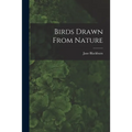 Birds Drawn From Nature