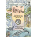 The Bird in the Waterfall: Exploring the Wonders of Water