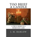 Too Brief A Candle: A True Crime in a Home Day Care