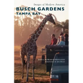 Busch Gardens Tampa Bay
