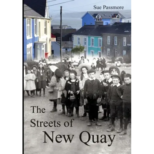 The Streets of New Quay