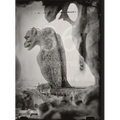 Tomas Van Houtryve: 36 Views of Notre Dame