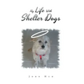 My Life with Shelter Dogs