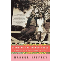 Climbing the Mango Trees: A Memoir of a Childhood in India (with Recipes)