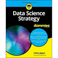 Data Science Strategy for Dummies