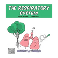 The Respiratory System