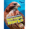Red-Tailed Hawks