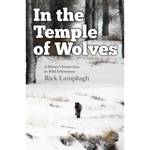 In the Temple of Wolves: A Winter's Immersion in Wild Yellowstone