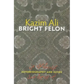 Bright Felon: Autobiography and Cities