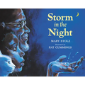 Storm in the Night