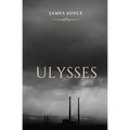 Ulysses: A book chronicling the passage through Dublin by a man, during an ordinary day, June 16, 1904. The title alludes to th
