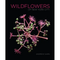 Wildflowers of New York City