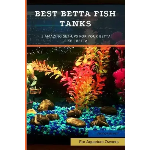 Best Betta Fish Tanks: 5 Amazing Set-Ups for Your Betta Fish Betta ...