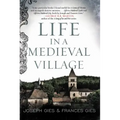 Life in a Medieval Village
