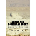 Sodom and Gomorrah Today: Seeing the Evidence