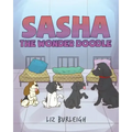 Sasha the Wonder Doodle