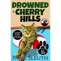 Drowned in Cherry Hills