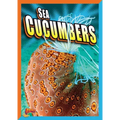 Sea Cucumbers