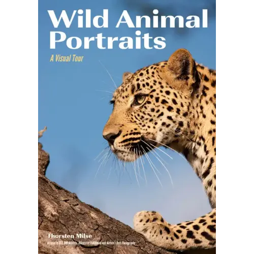 Wild Animal Portraits: A Visual Tour