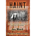 Haint: A Tale of Extraterrestrial Intervention and Love Across Time and Space