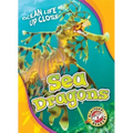 Sea Dragons