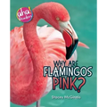 Why Are Flamingos Pink?
