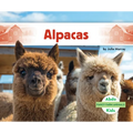 Alpacas