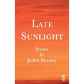 Late Sunlight